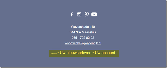 Footer nieuwsbrief