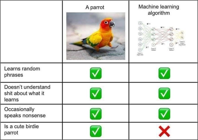 Vergelijking AI met papegaai